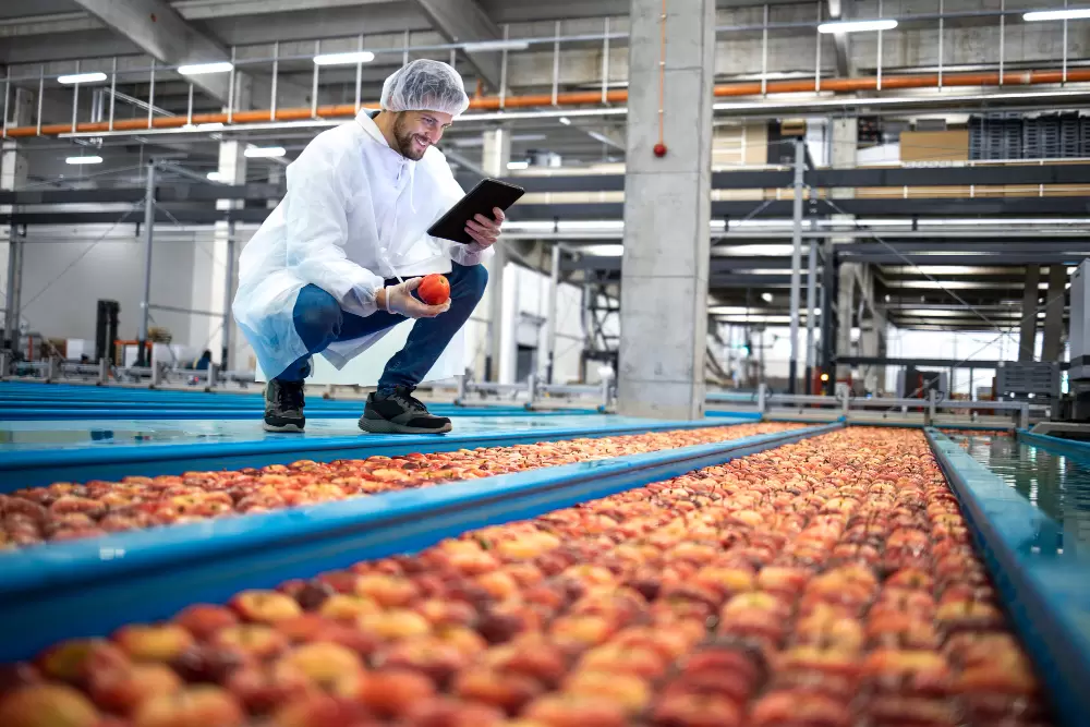 quality control of apples in a processing plant